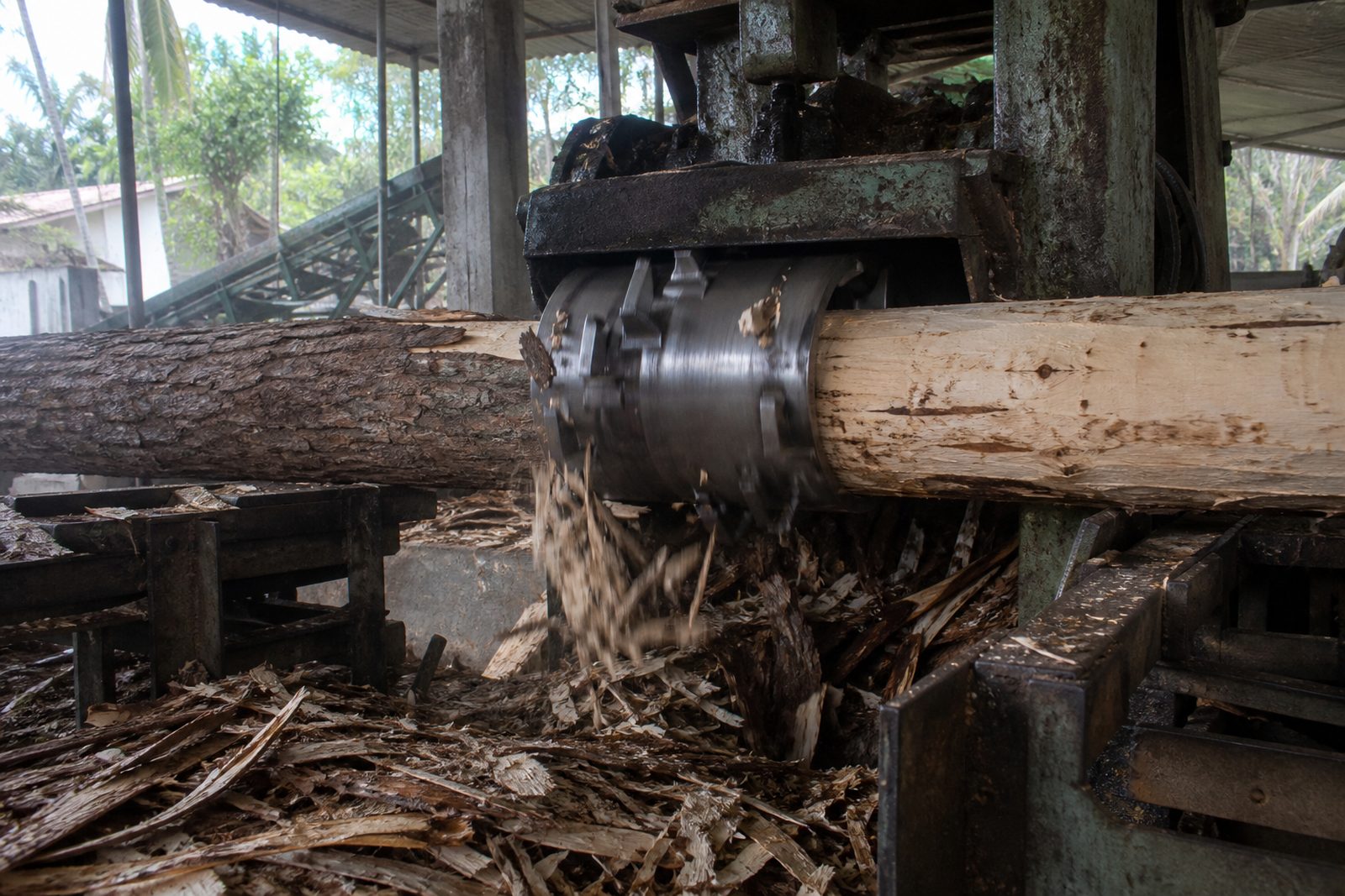 Debarker stripping bark from a rubberwood log
