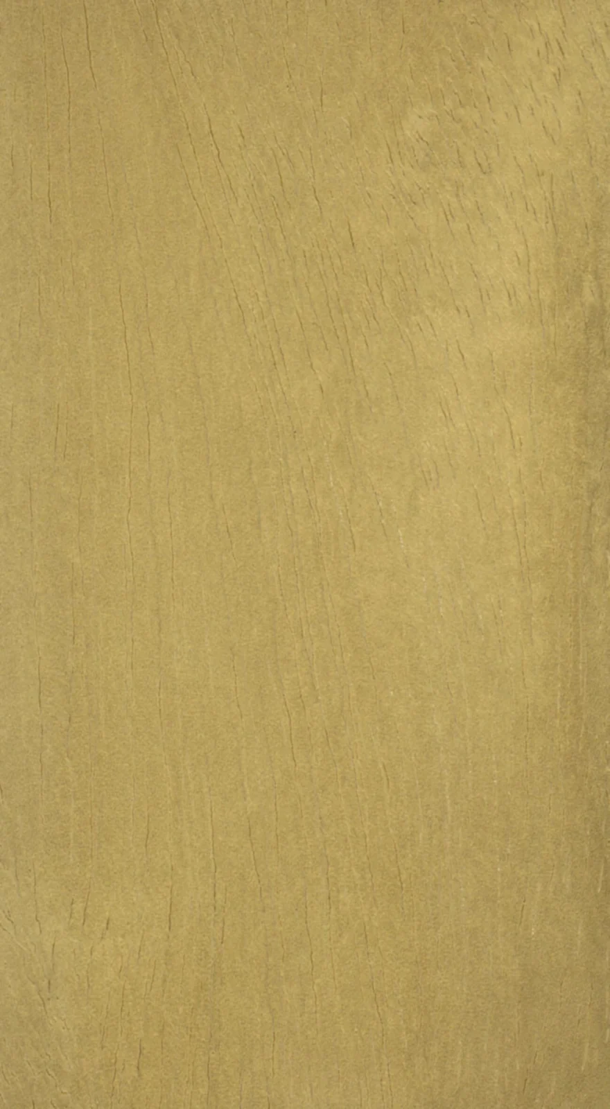 Wood grain on a preserved collection sample labelled Gmelina arborea