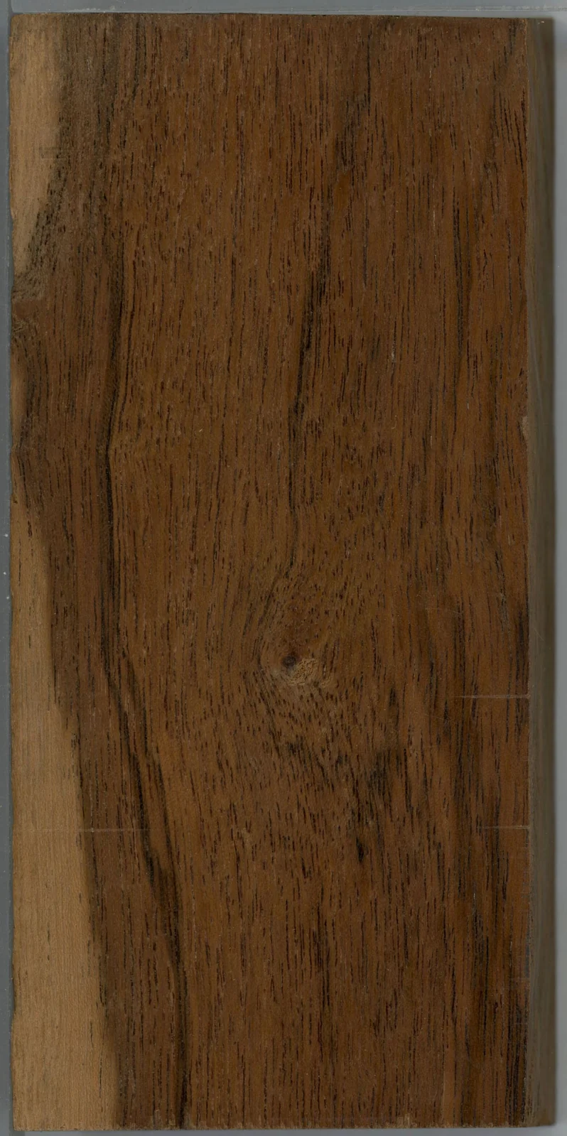 Wood grain on a preserved collection sample labelled Xylia xylocarpa