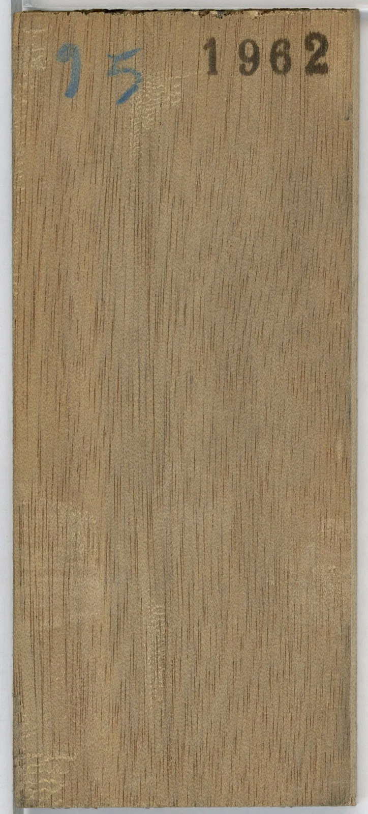 Wood grain on a preserved collection sample labelled Aucoumea klaineana