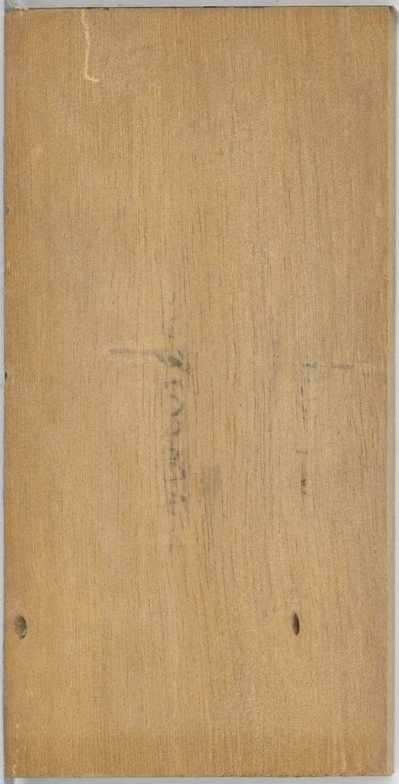 Wood grain on a preserved collection sample labelled Alstonia scholaris